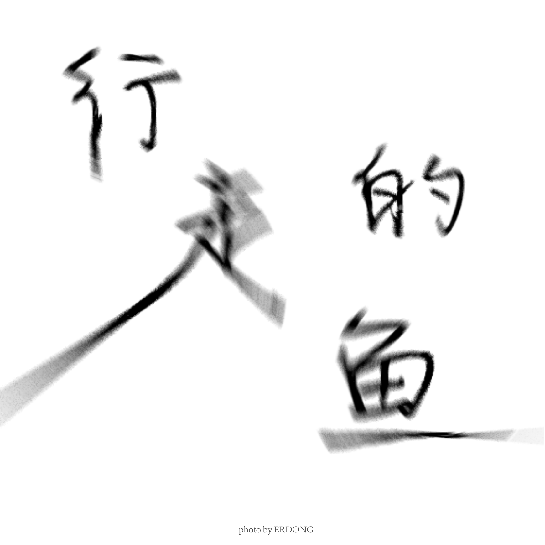 个人摄影作品集 2024|《行走的鱼》